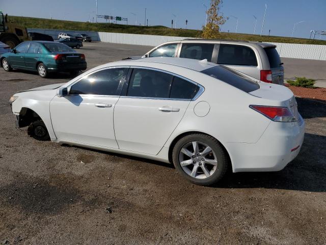 Photo 1 VIN: 19UUA8F25CA007063 - ACURA TL 