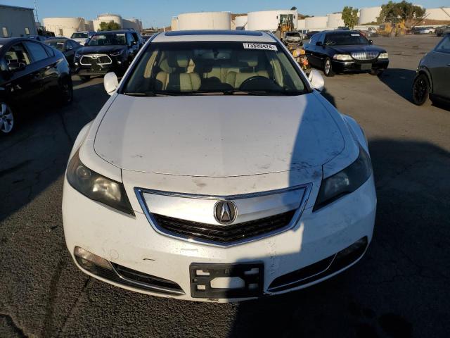 Photo 4 VIN: 19UUA8F25CA022033 - ACURA TL 