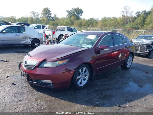 Photo 1 VIN: 19UUA8F25CA022274 - ACURA TL 