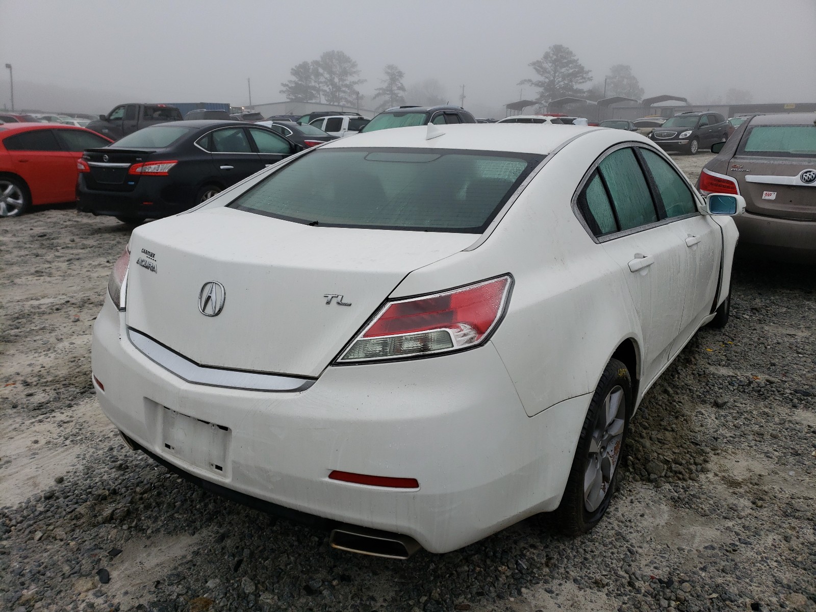 Photo 3 VIN: 19UUA8F25CA033730 - ACURA TL 