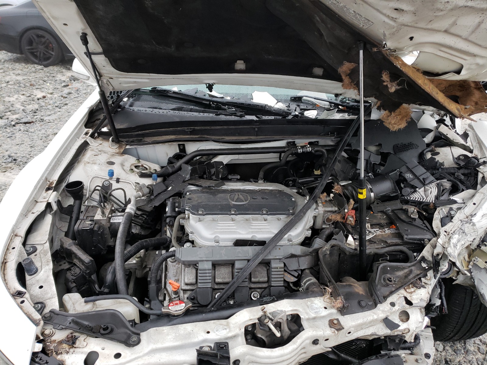 Photo 6 VIN: 19UUA8F25CA033730 - ACURA TL 