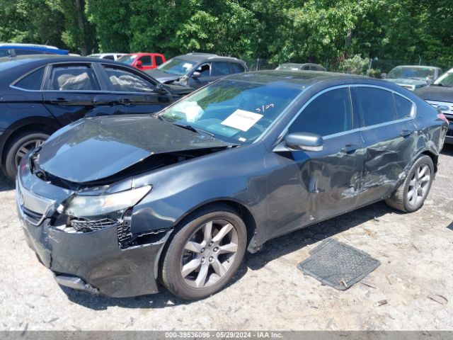 Photo 1 VIN: 19UUA8F25DA005833 - ACURA TL 