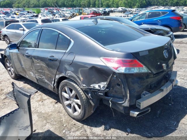 Photo 2 VIN: 19UUA8F25DA005833 - ACURA TL 