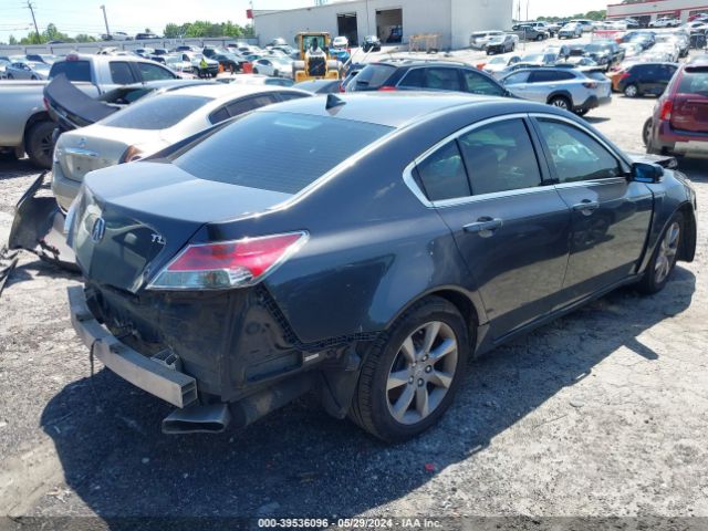 Photo 3 VIN: 19UUA8F25DA005833 - ACURA TL 