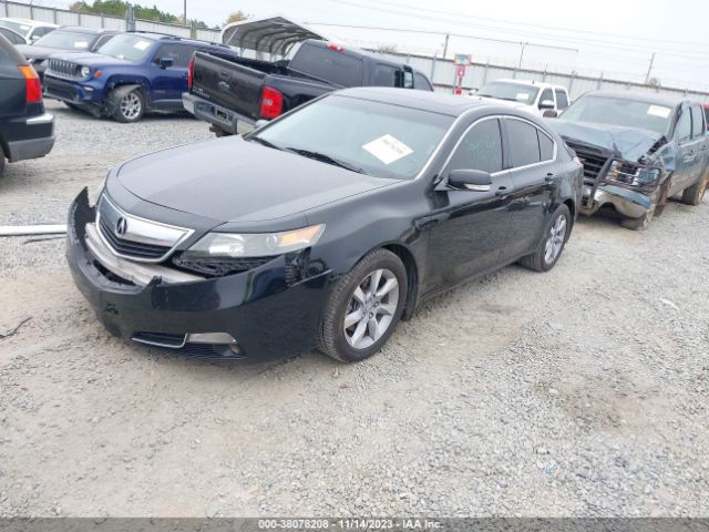 Photo 1 VIN: 19UUA8F25DA007338 - ACURA TL 