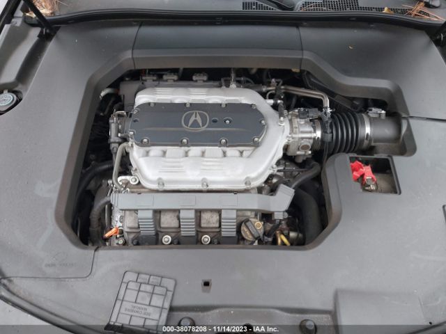 Photo 9 VIN: 19UUA8F25DA007338 - ACURA TL 