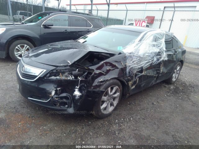 Photo 1 VIN: 19UUA8F25DA008358 - ACURA TL 