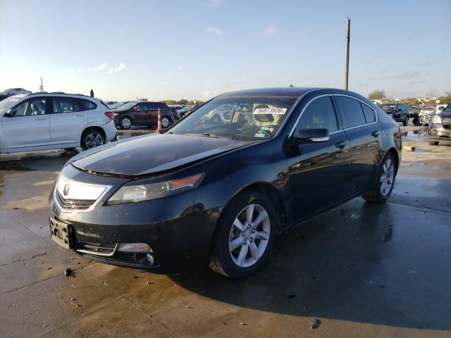 Photo 1 VIN: 19UUA8F25DA012569 - ACURA TL 