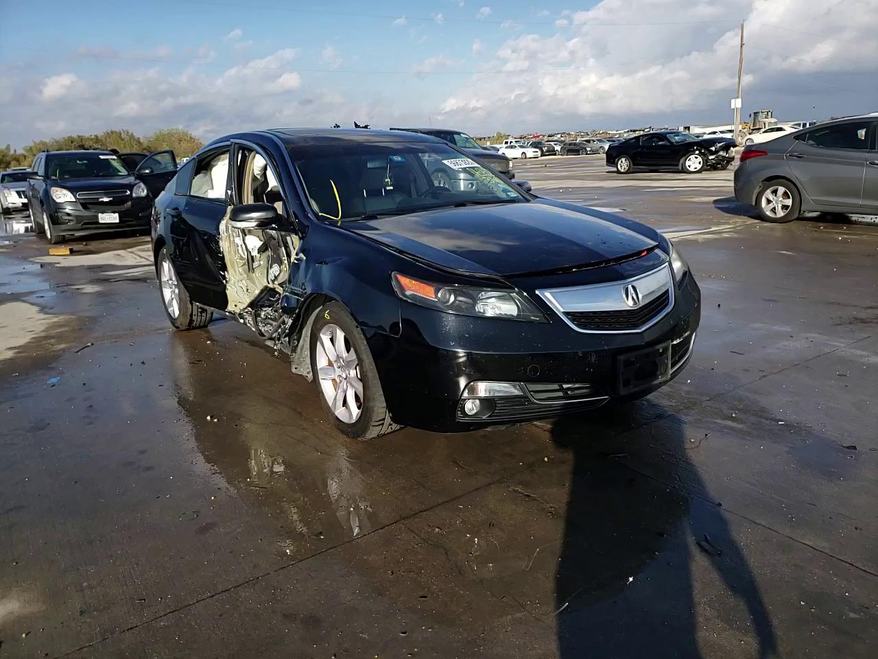 Photo 10 VIN: 19UUA8F25DA012569 - ACURA TL 