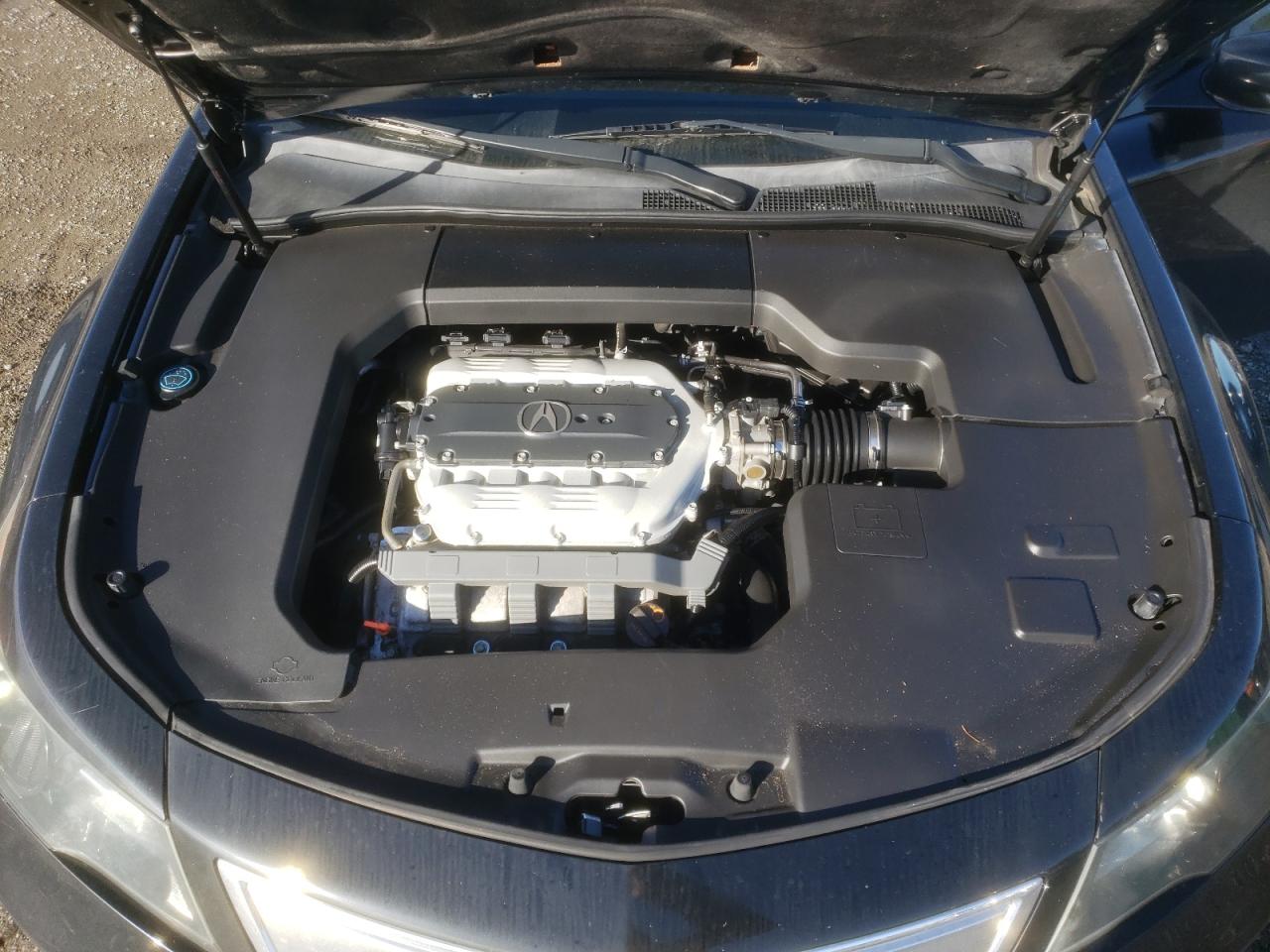 Photo 10 VIN: 19UUA8F25DA014502 - ACURA TL 