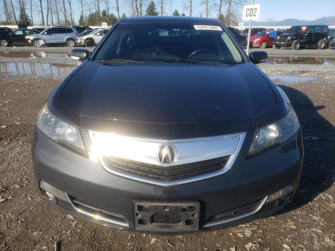 Photo 4 VIN: 19UUA8F25DA014502 - ACURA TL 