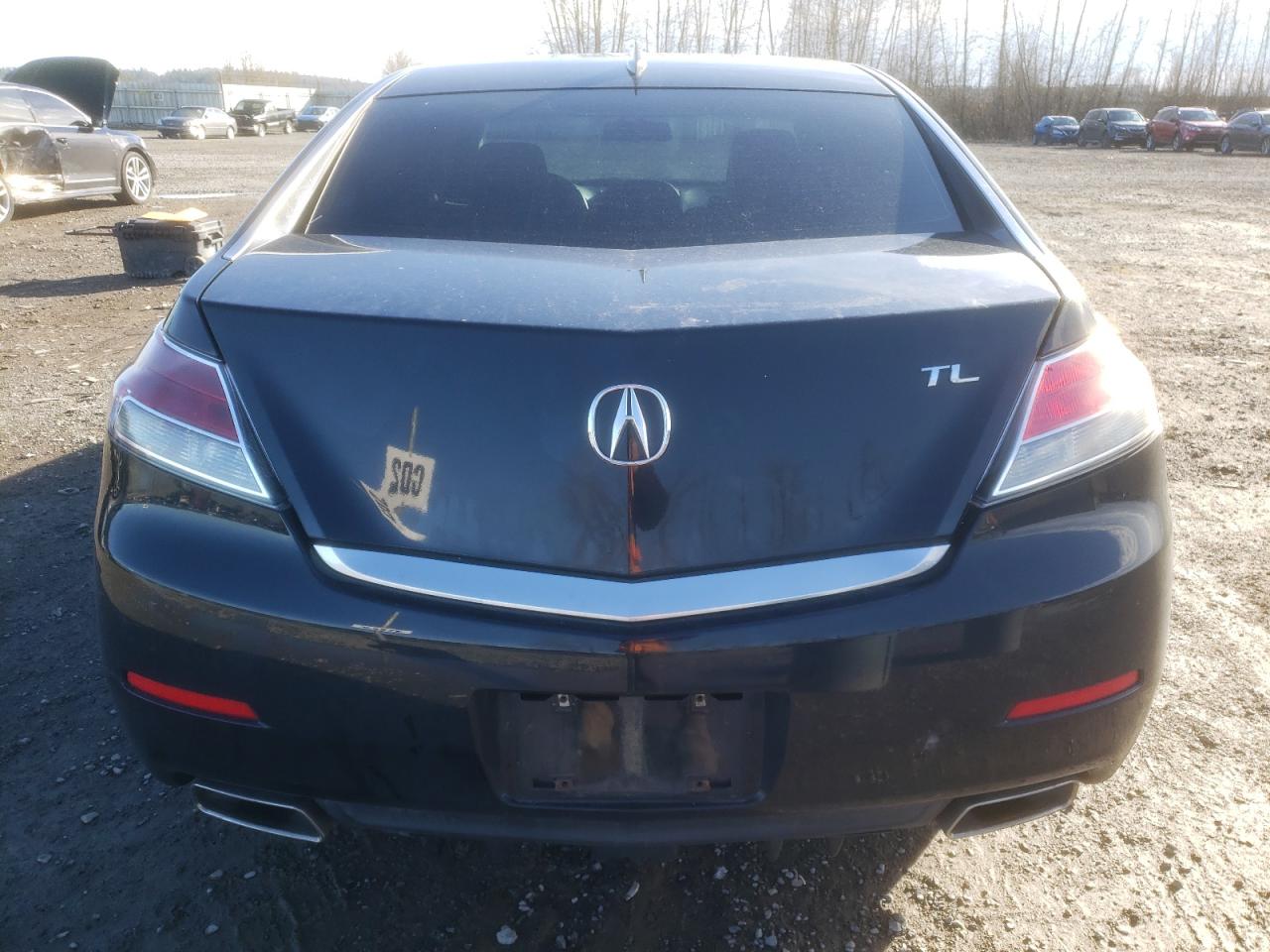 Photo 5 VIN: 19UUA8F25DA014502 - ACURA TL 