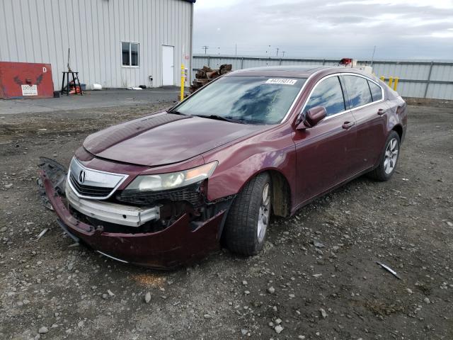 Photo 1 VIN: 19UUA8F25DA015973 - ACURA TL 