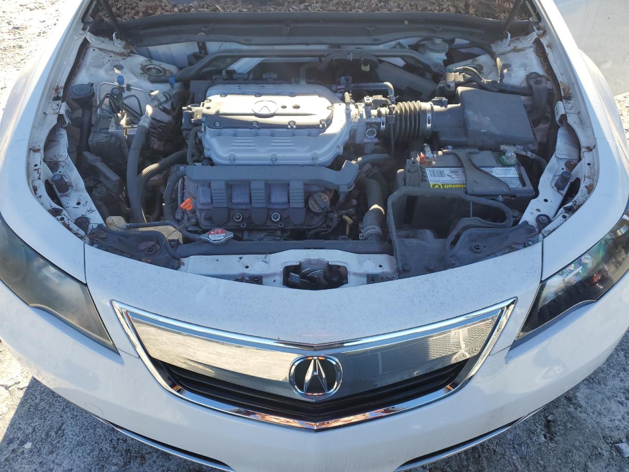 Photo 10 VIN: 19UUA8F25EA007955 - ACURA TL 