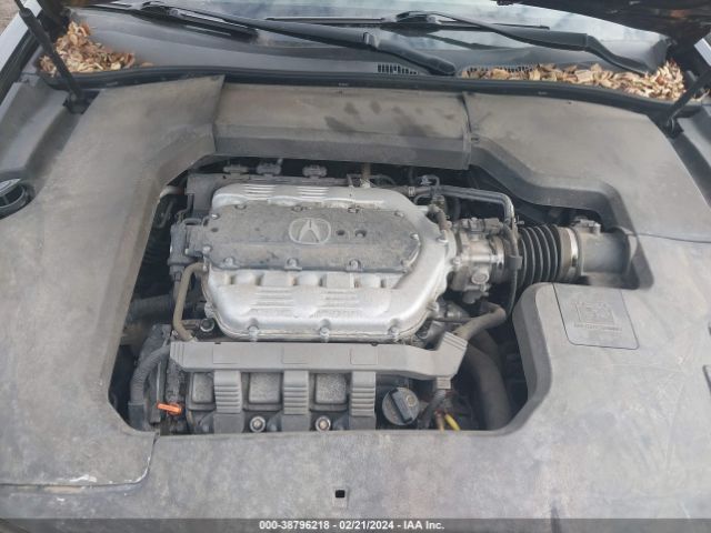 Photo 9 VIN: 19UUA8F26CA018184 - ACURA TL 