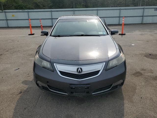 Photo 4 VIN: 19UUA8F26CA038418 - ACURA TL 