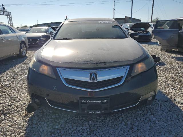 Photo 4 VIN: 19UUA8F26CA040556 - ACURA TL 