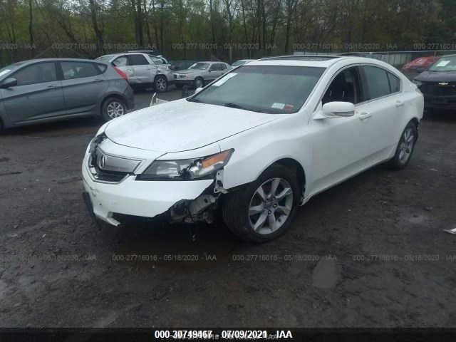 Photo 1 VIN: 19UUA8F26DA008224 - ACURA TL 