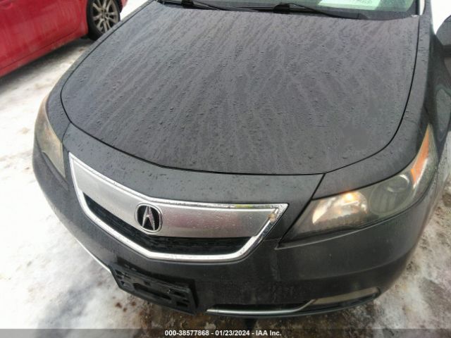 Photo 5 VIN: 19UUA8F26DA009521 - ACURA TL 