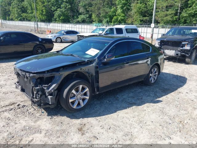 Photo 1 VIN: 19UUA8F26DA012869 - ACURA TL 