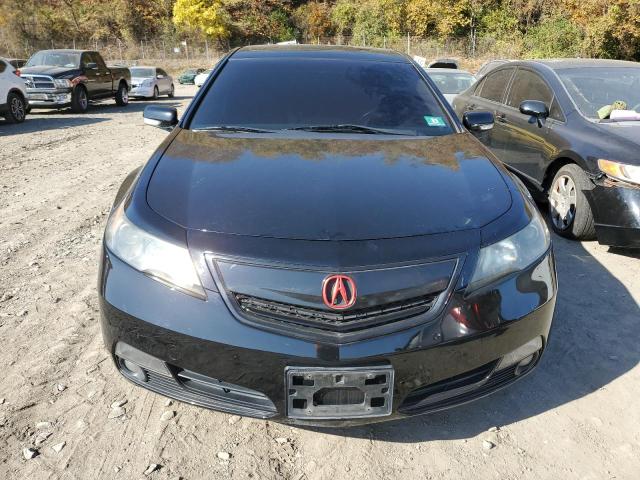 Photo 4 VIN: 19UUA8F26DA015013 - ACURA TL 