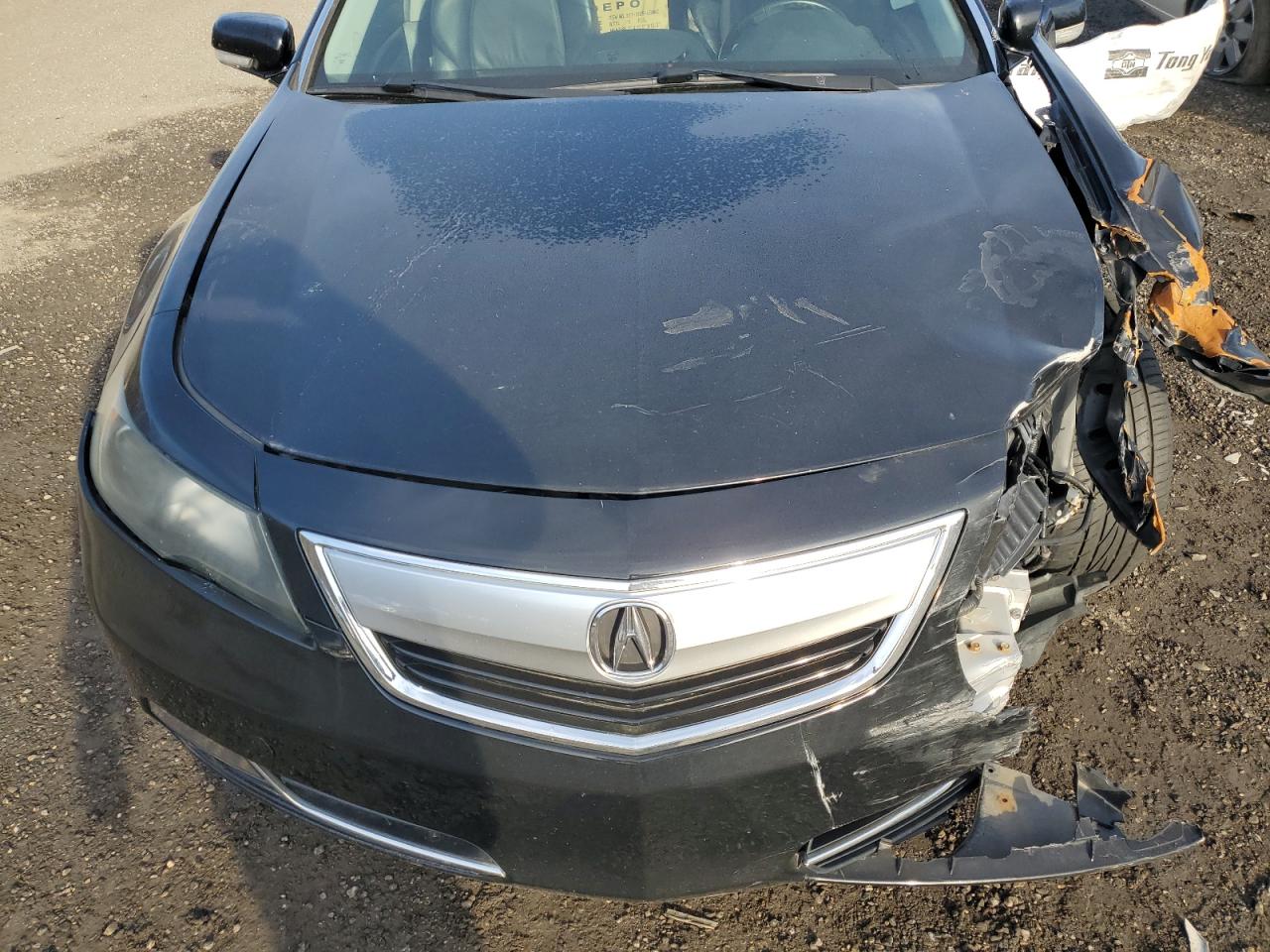 Photo 10 VIN: 19UUA8F27CA034362 - ACURA TL 