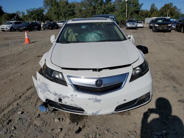 Photo 4 VIN: 19UUA8F27CA038606 - ACURA TL 