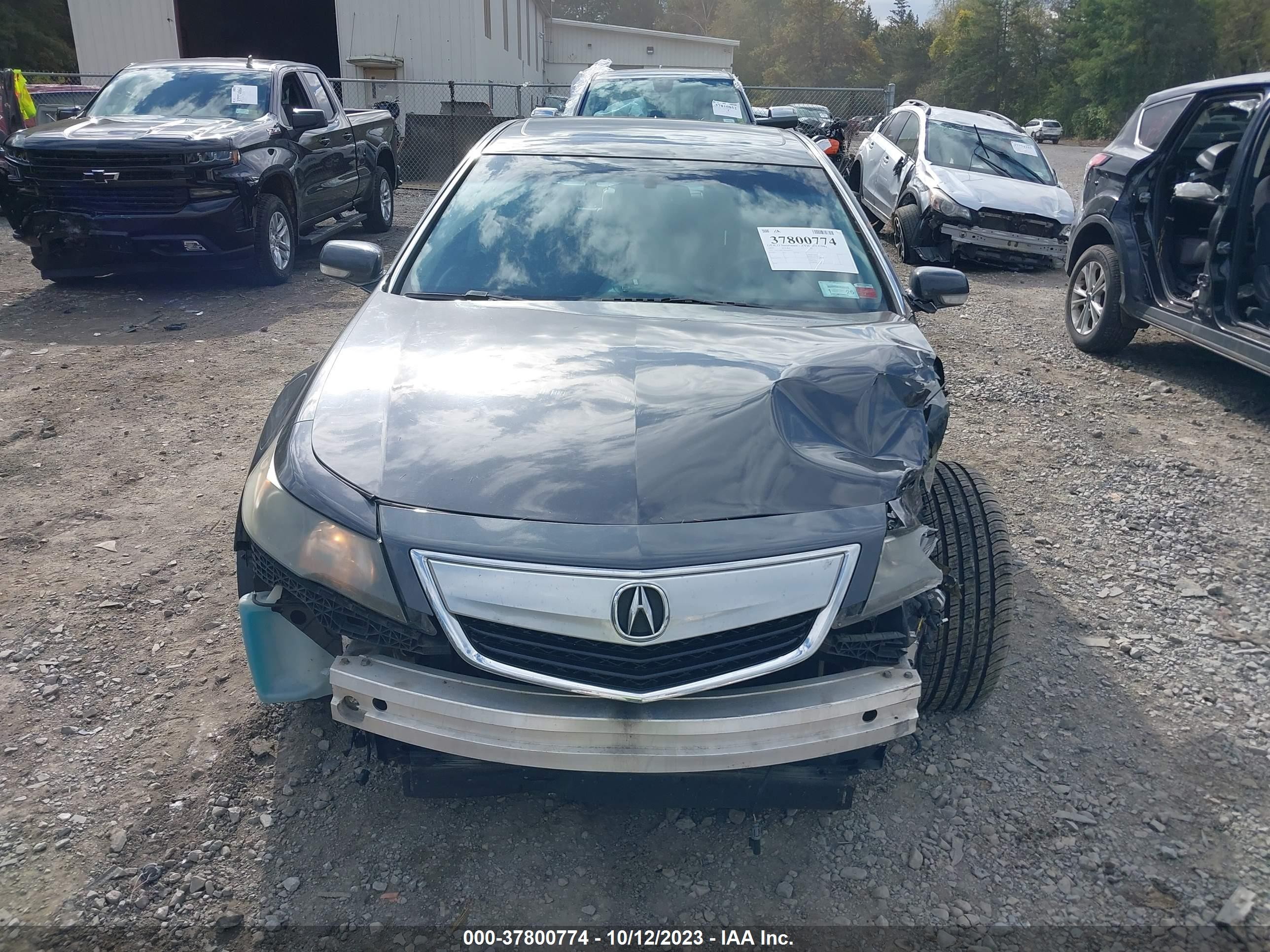 Photo 11 VIN: 19UUA8F27DA009527 - ACURA TL 