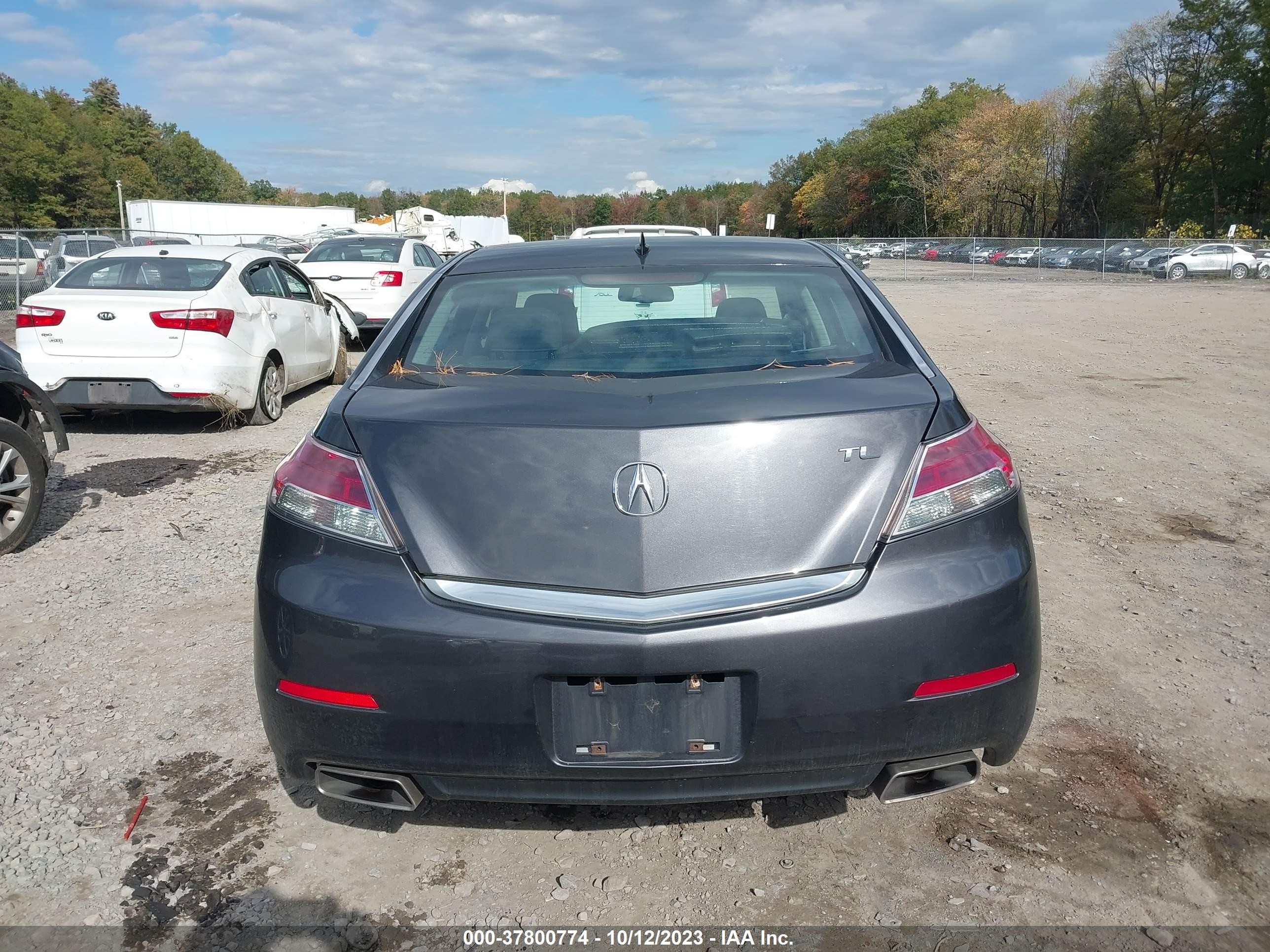 Photo 15 VIN: 19UUA8F27DA009527 - ACURA TL 