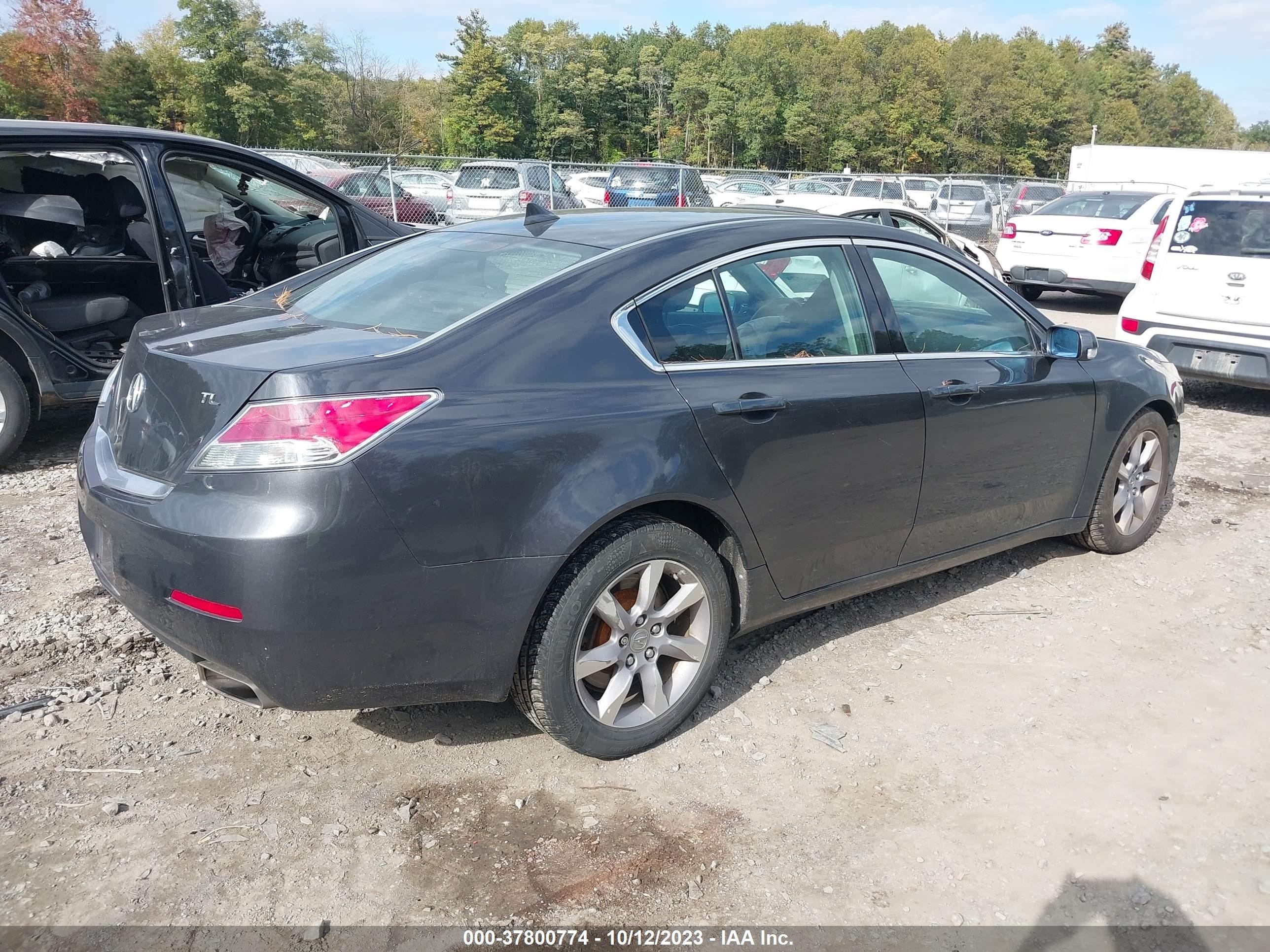 Photo 3 VIN: 19UUA8F27DA009527 - ACURA TL 