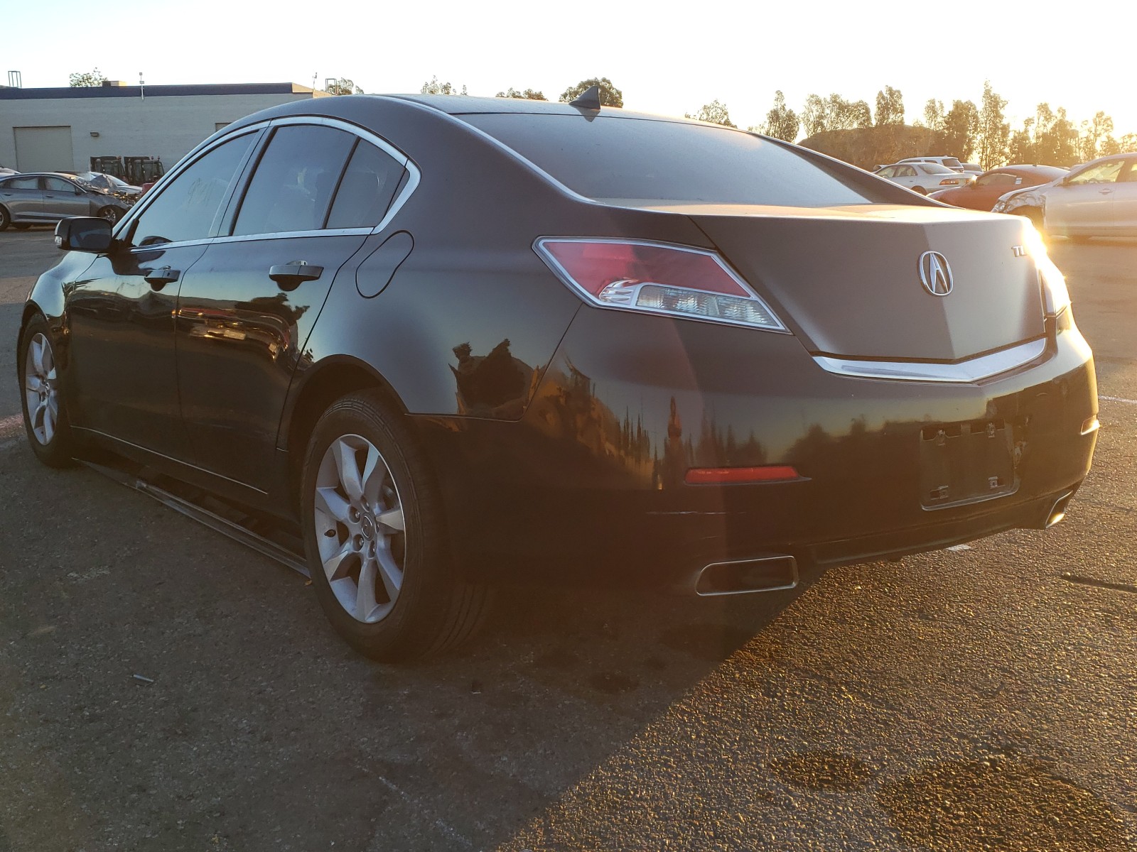 Photo 2 VIN: 19UUA8F27DA012430 - ACURA TL 