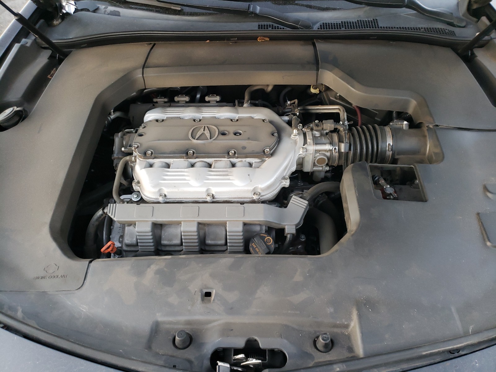 Photo 6 VIN: 19UUA8F27DA012430 - ACURA TL 