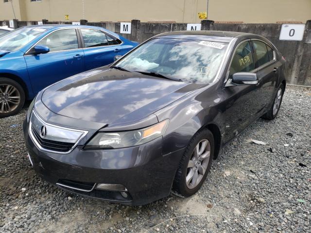 Photo 1 VIN: 19UUA8F27DA013495 - ACURA TL 