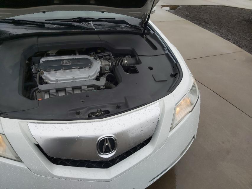 Photo 6 VIN: 19UUA8F28AA015641 - ACURA TL 