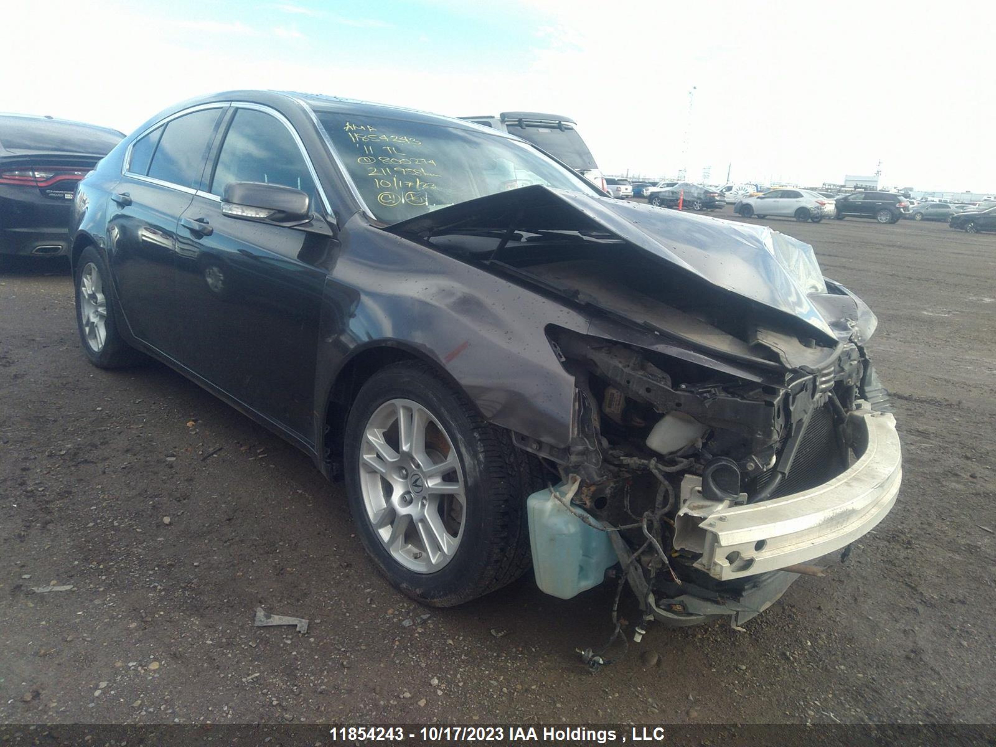 Photo 0 VIN: 19UUA8F28BA800274 - ACURA TL 