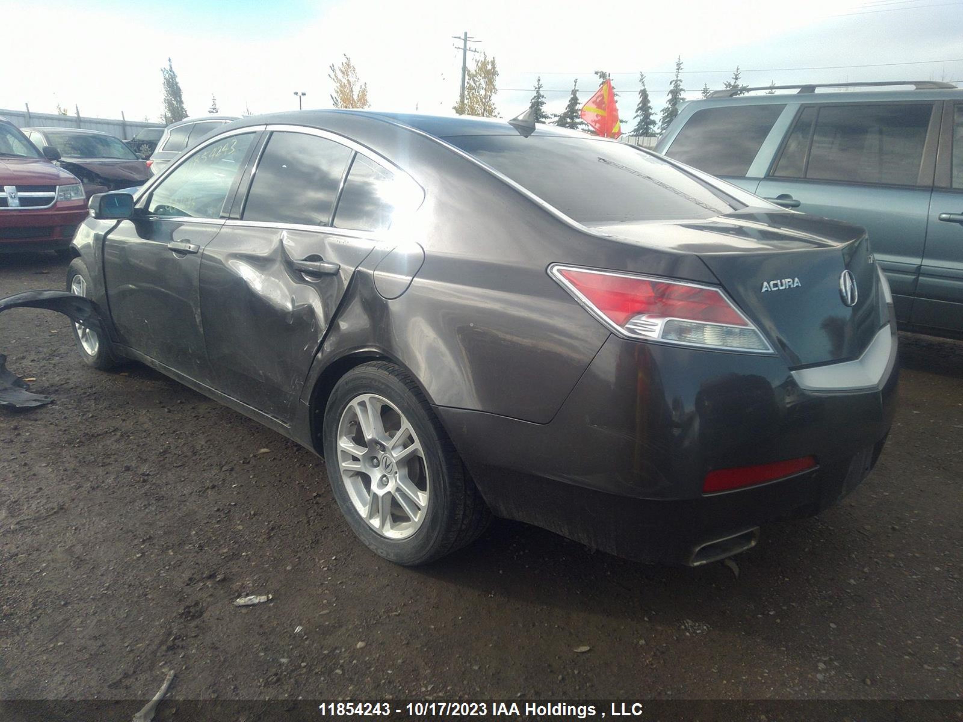 Photo 2 VIN: 19UUA8F28BA800274 - ACURA TL 