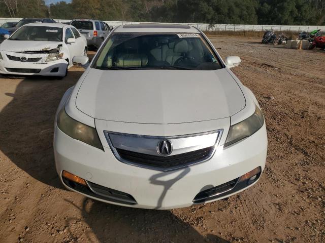 Photo 4 VIN: 19UUA8F28CA007039 - ACURA TL 