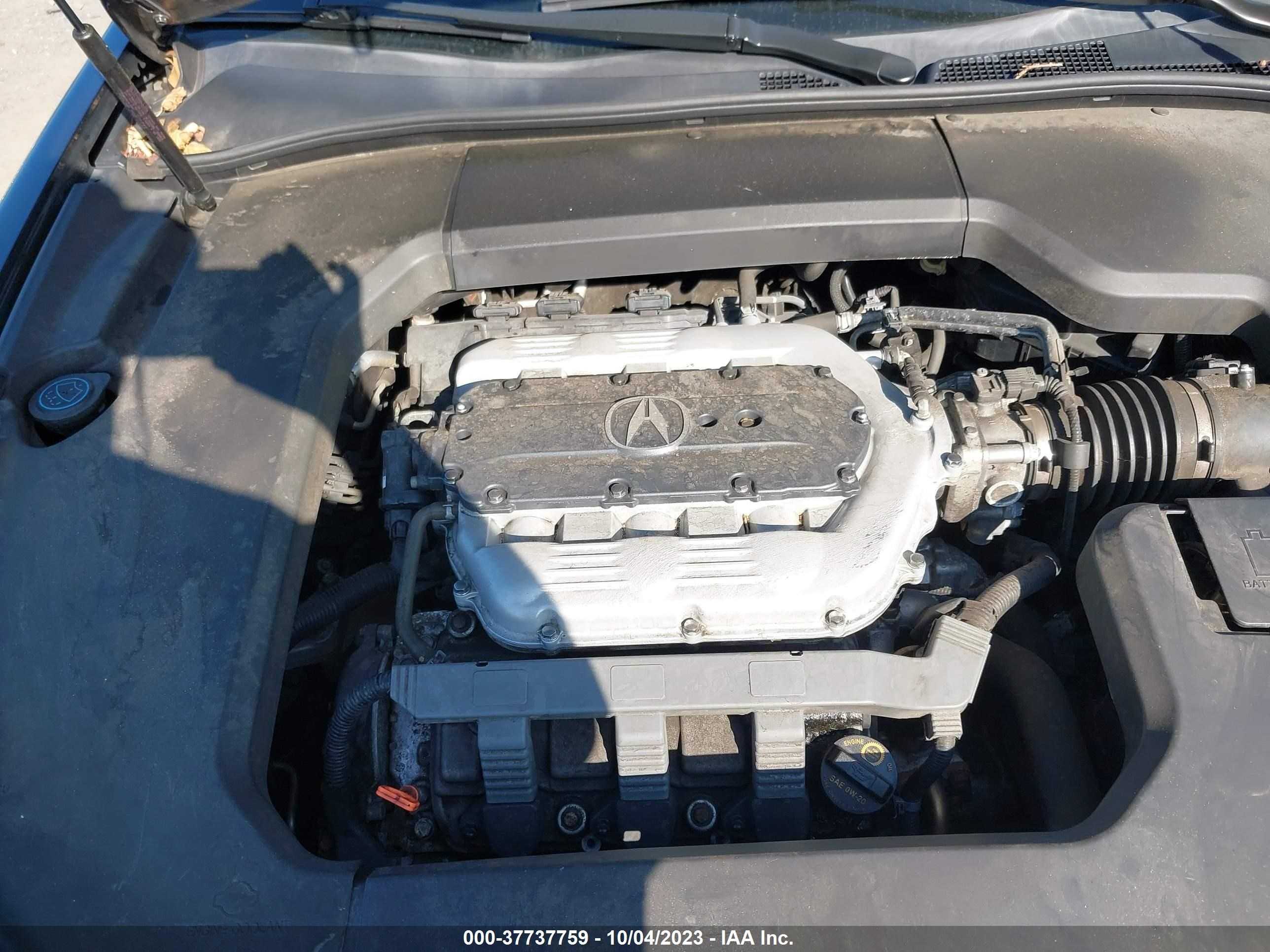 Photo 9 VIN: 19UUA8F28CA028831 - ACURA TL 