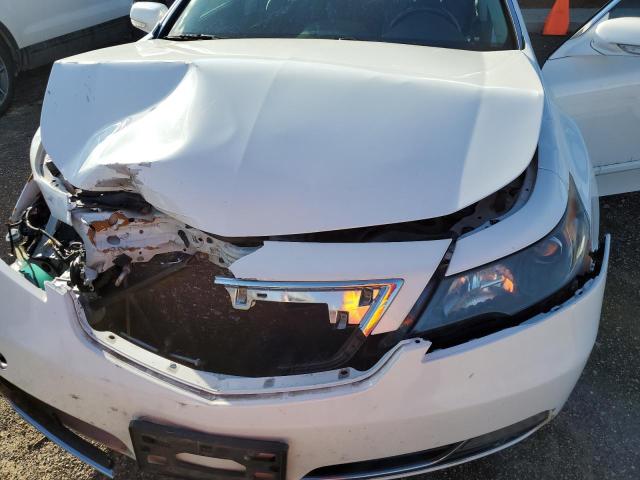 Photo 10 VIN: 19UUA8F28CA037075 - ACURA TL 