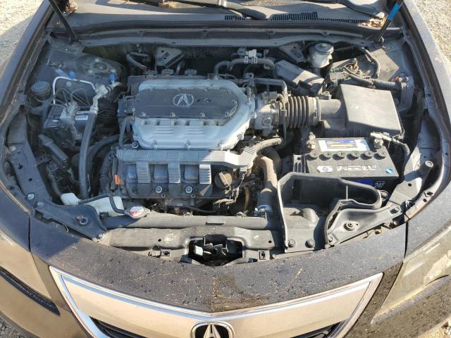 Photo 10 VIN: 19UUA8F28DA017393 - ACURA TL 