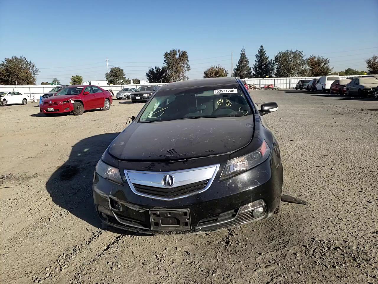 Photo 10 VIN: 19UUA8F28EA007285 - ACURA TL 