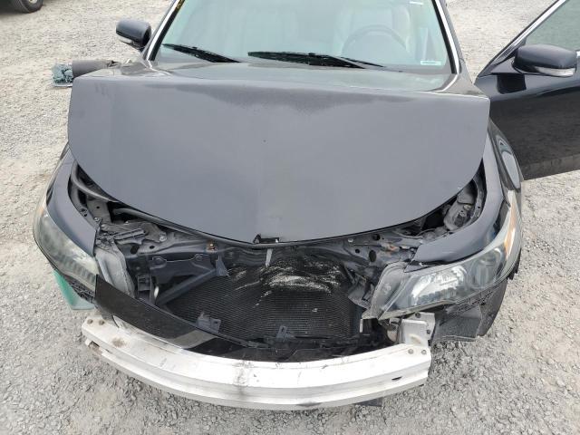 Photo 10 VIN: 19UUA8F29CA040549 - ACURA TL 