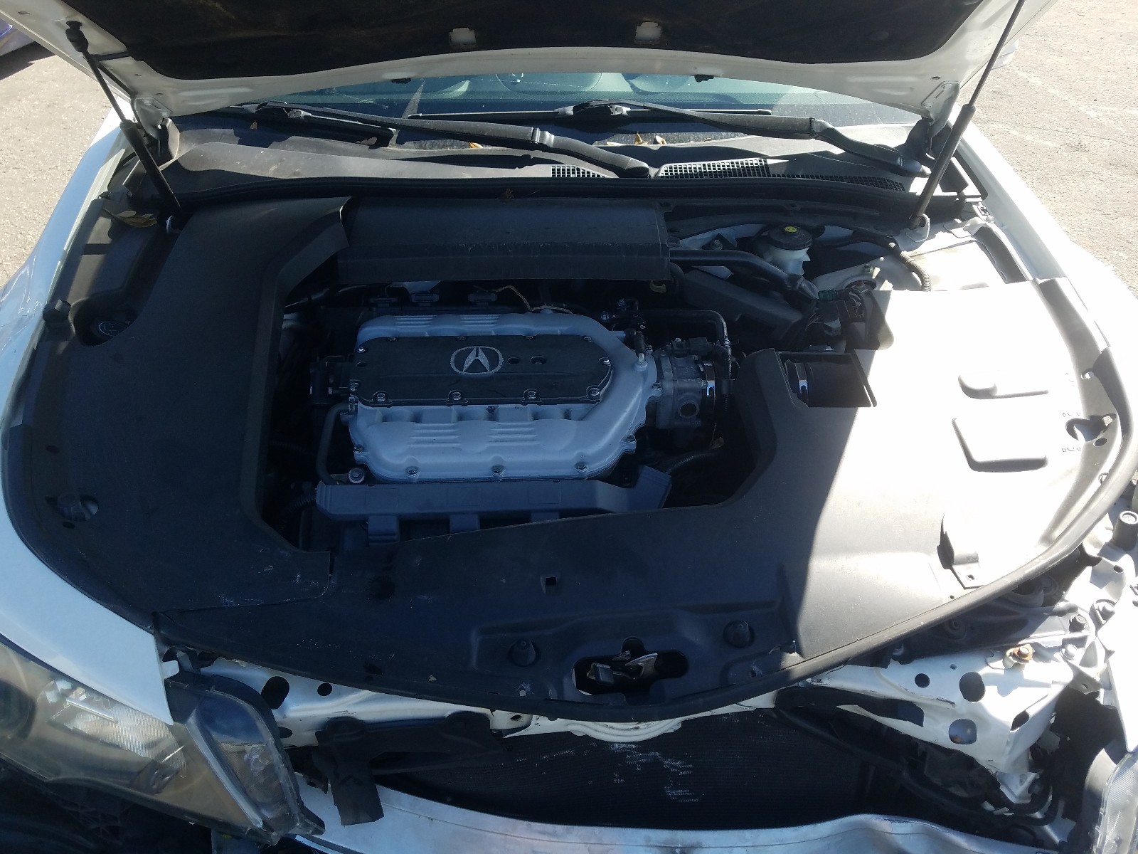 Photo 6 VIN: 19UUA8F2XCA005678 - ACURA TL 