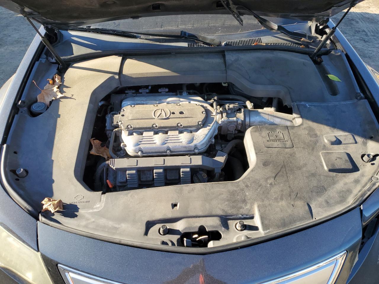 Photo 10 VIN: 19UUA8F2XCA011884 - ACURA TL 