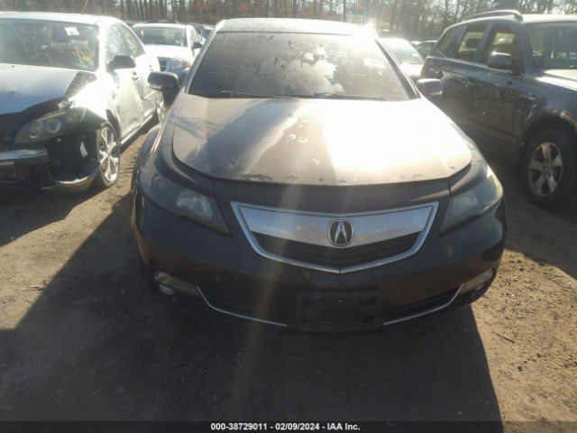 Photo 5 VIN: 19UUA8F2XDA007366 - ACURA TL 