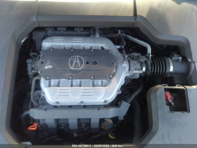 Photo 9 VIN: 19UUA8F2XDA007366 - ACURA TL 