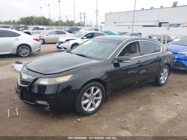 Photo 1 VIN: 19UUA8F2XDA015919 - ACURA TL 