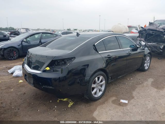 Photo 3 VIN: 19UUA8F2XDA015919 - ACURA TL 