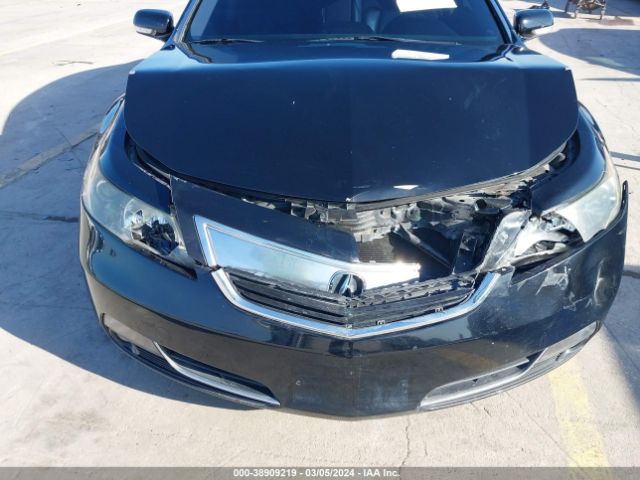 Photo 5 VIN: 19UUA8F2XEA007286 - ACURA TL 