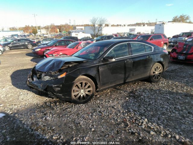 Photo 1 VIN: 19UUA8F30DA018126 - ACURA TL 